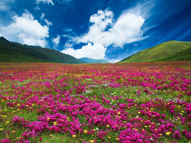 成都+新都桥+稻城亚丁+海螺沟双飞8日游