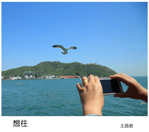 2019上期摄影班学员王昌碧作品2