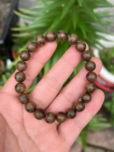 20250529231518_98003.jpg 11.jpg