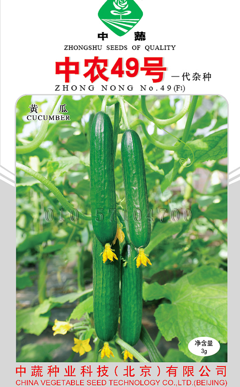 中农49号黄瓜种子水果黄瓜种子无刺小黄瓜种子亮绿色农科院种