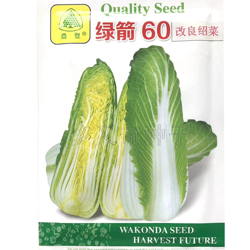 绿箭60白菜种子改良日本绍菜种子早熟黄心口感甜美包尖白菜种子 大白菜种子 叶菜类种子 在线商城 多又奇种子网