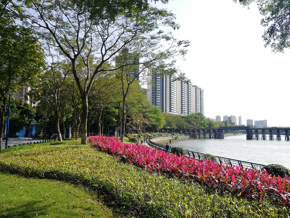 荔湾区花地河