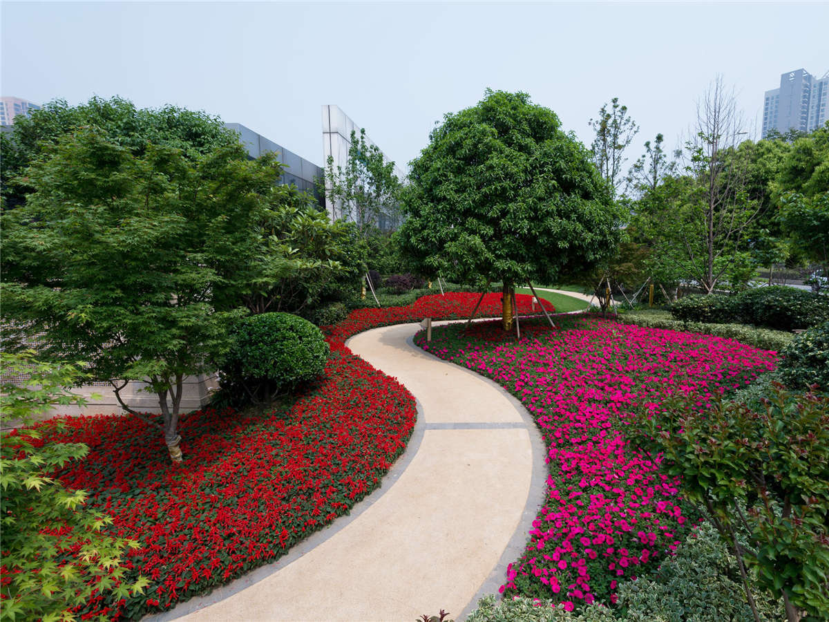 珠江花城