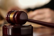 20250210140647_62808.gif 20250207111617_25250.jpg