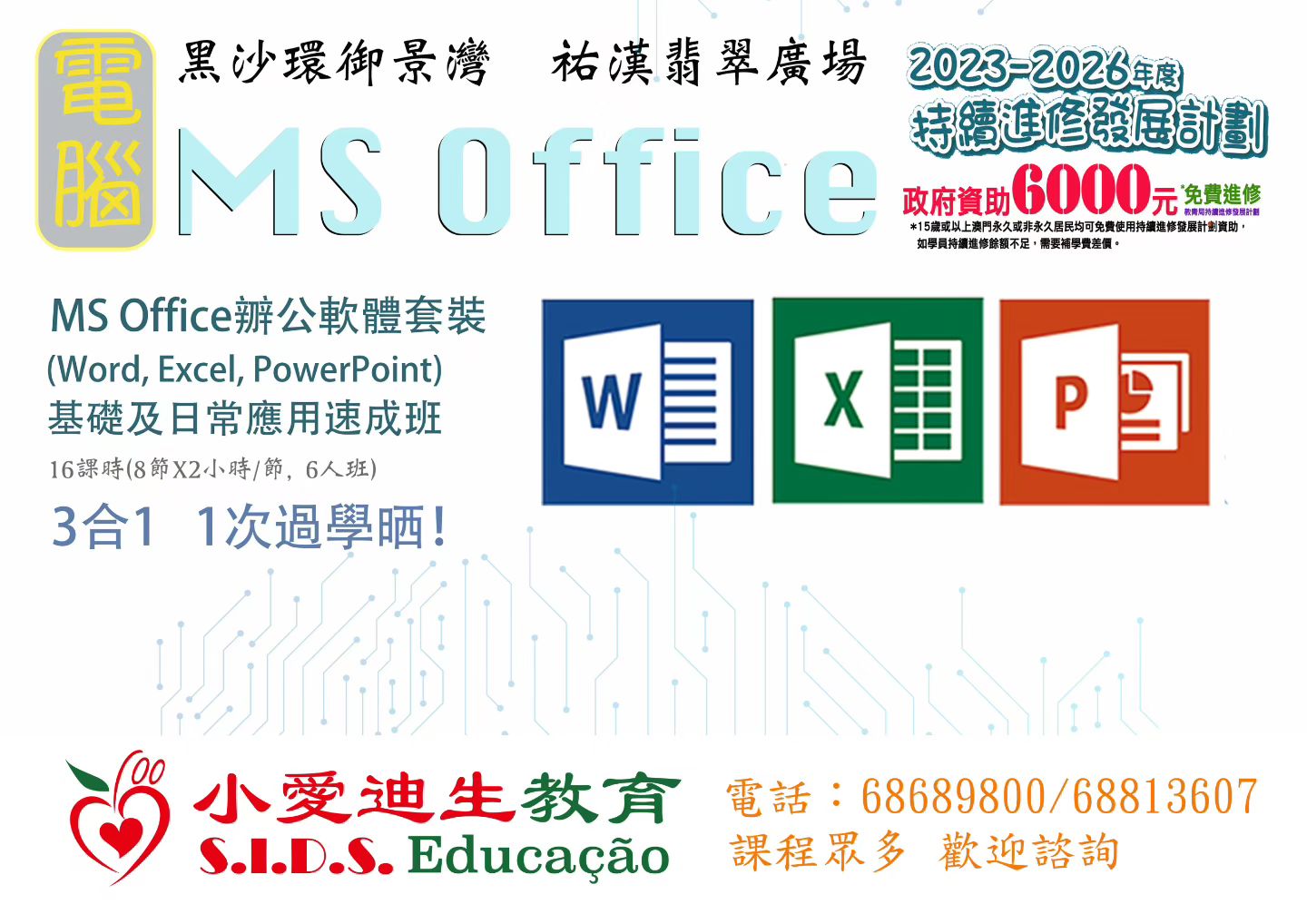 WORD EXCEL PowerPoint應用