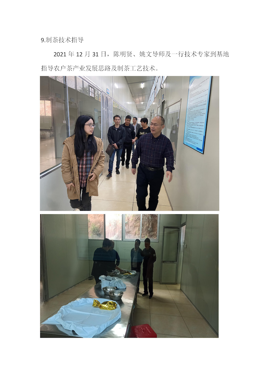 制茶技术指导