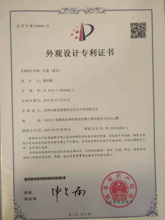 外观设计专利