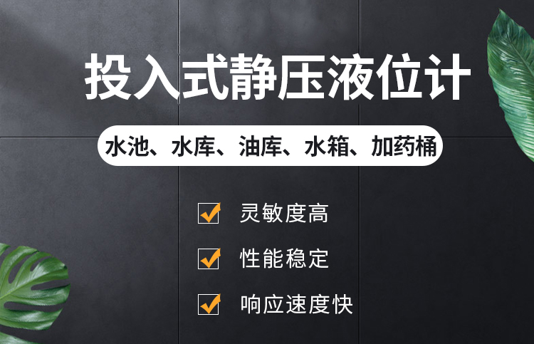 投入式静压液位计_01.jpg