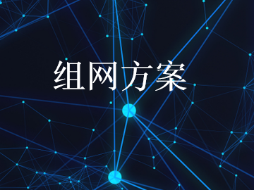 组网