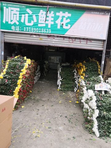广州顺心鲜花丰富的鲜花批发货源
