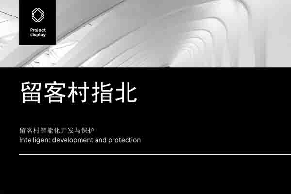 留客村策划数字化