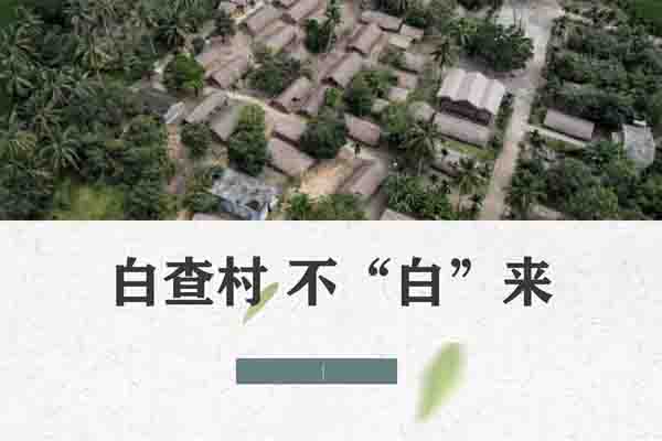 白查村数字化
