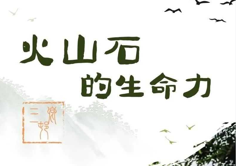 火山石的生命力——三卿
