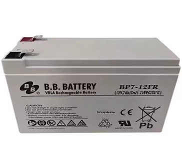 20250316123454_12567.jpg BB.jpg