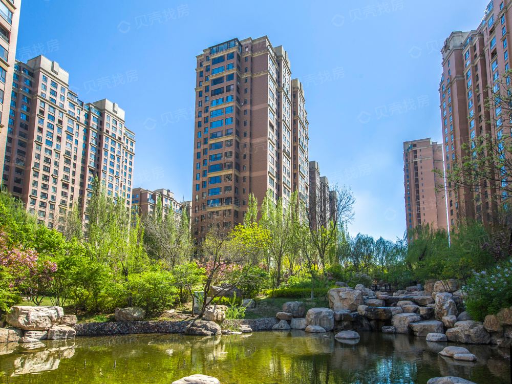 图片展示