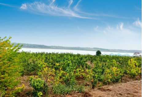 20241230144242_26969.png image.png