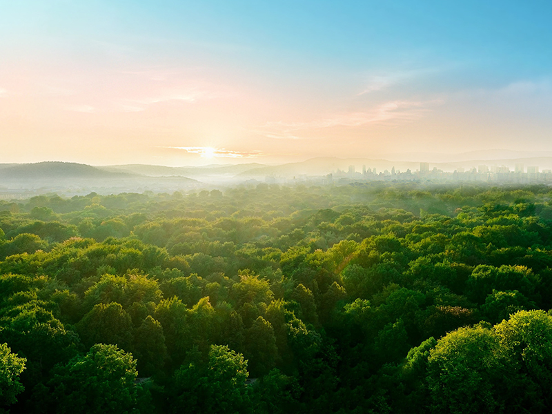 企业面临的问题二