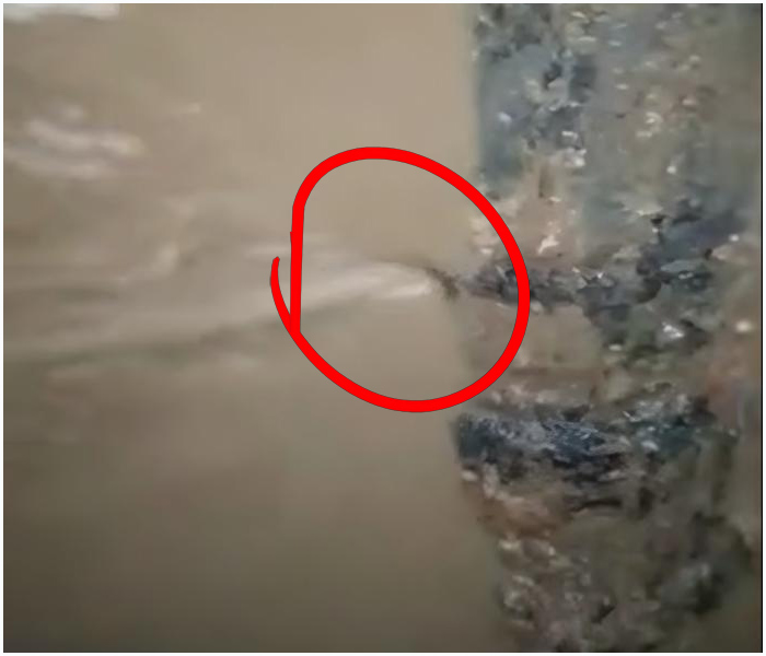 20251122214258_69880.jpg 1747210294849(1).jpg