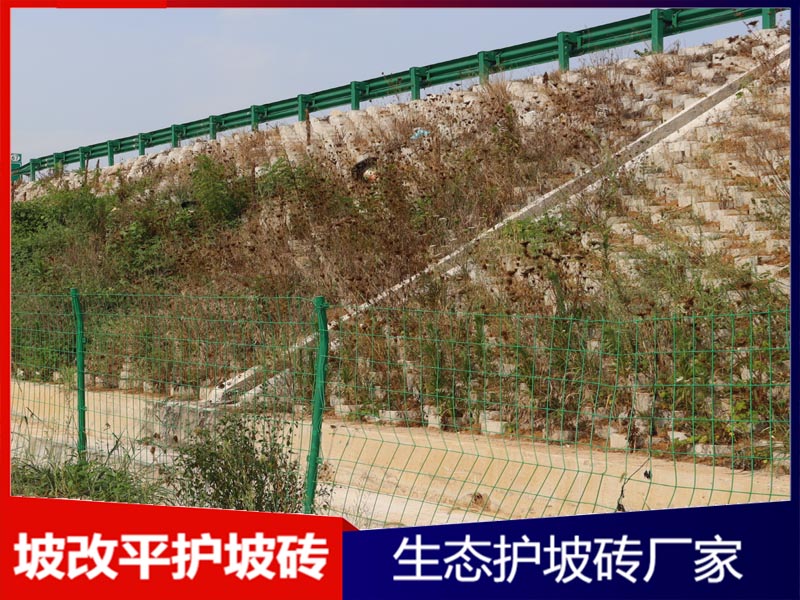 坡改平护坡砖工程案例