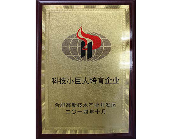 科技小巨人培育企业