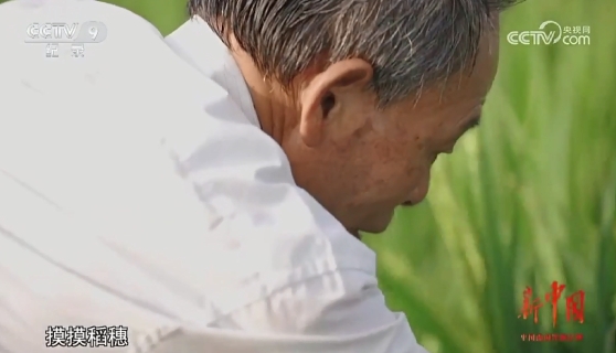 20241017170227_23473.png 微信截图_20241017100727.png