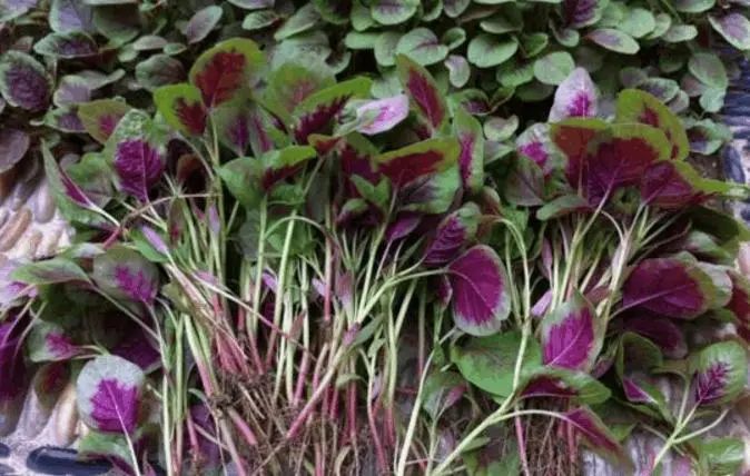 20230321160506_53939.jpg 20230321160506_53939.jpg