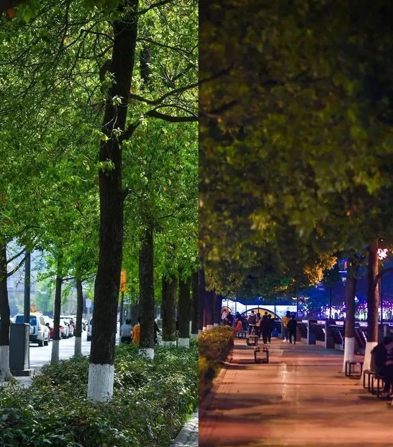 20230321161211_56602.jpg 20230321161211_56602.jpg