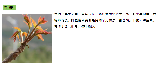 20240405152643_77673.png image.png