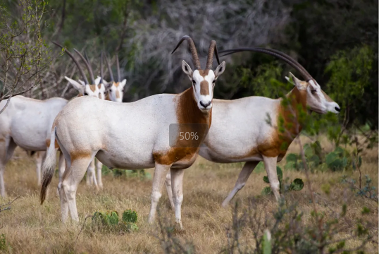 20240717162719_59948.png image.png