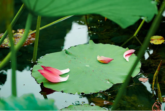 20250512160446_72160.png image.png