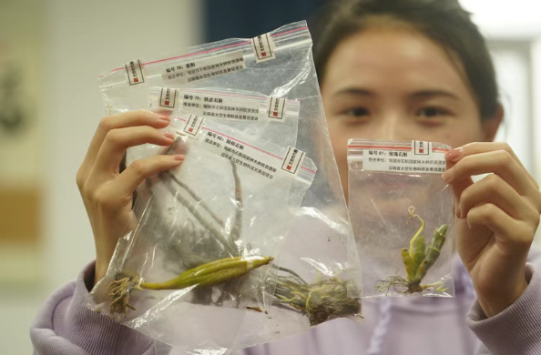 20250819155144_97461.png image.png