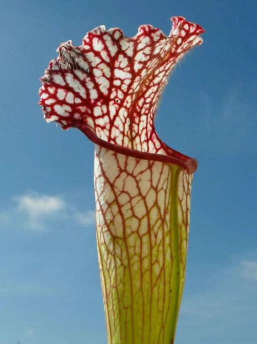 20260327165025_63944.png image.png