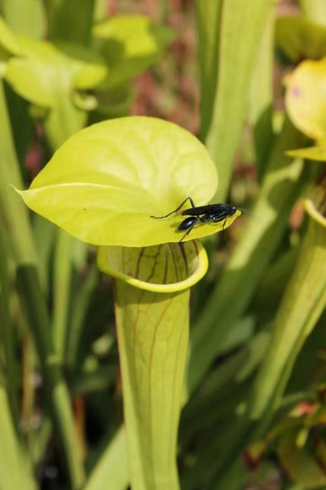 20260327165042_67586.png image.png