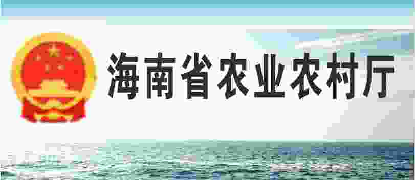 省局