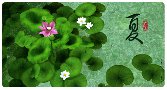 安徽省湖南商会二季度季刊