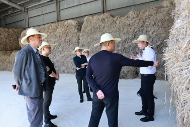 20250417135945_18133.png 图片14.png