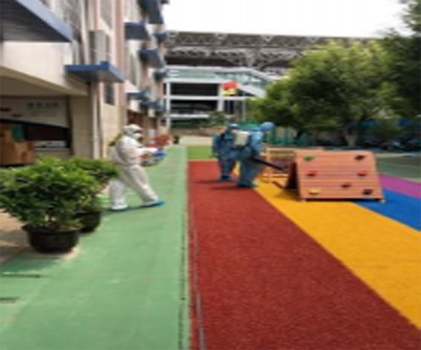 合肥某幼儿园消杀除虫