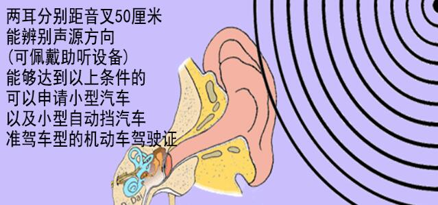 石家庄有聋哑人驾校吗