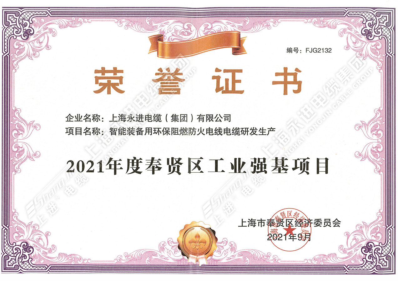 奉贤区工业强基项目证书