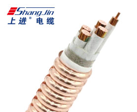 Cloud Zoom small image