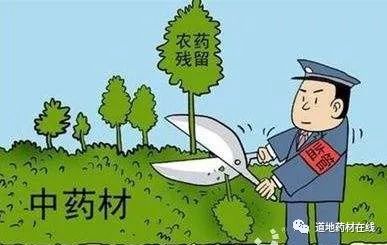 中药材“农残病”需从源头治理