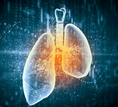 20220522093041_20641.png image.png