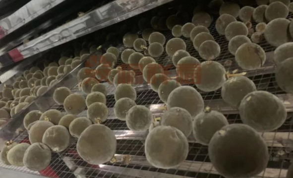 20220627162711_91177.png image.png