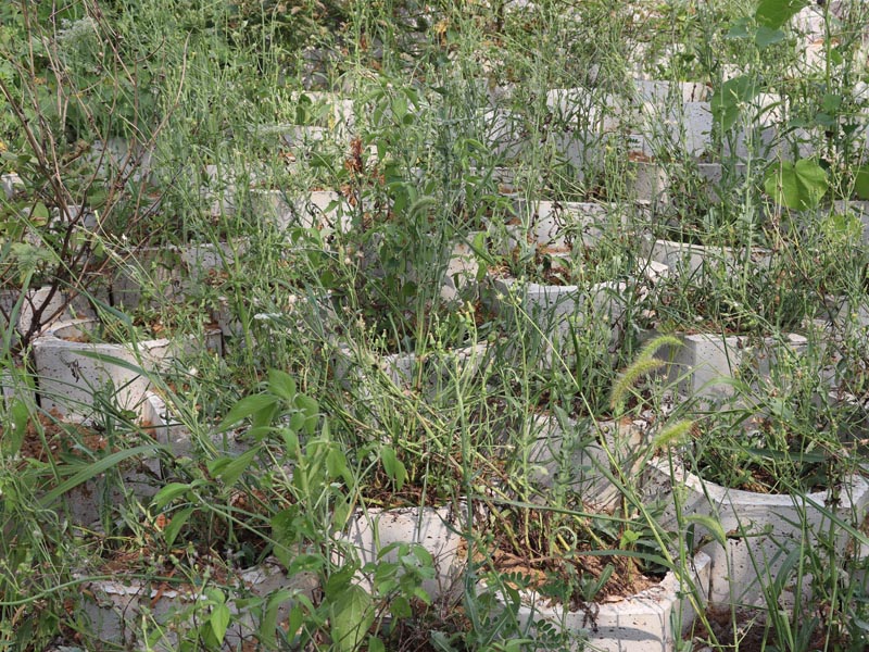 20250806221405_94977.jpg 58.jpg