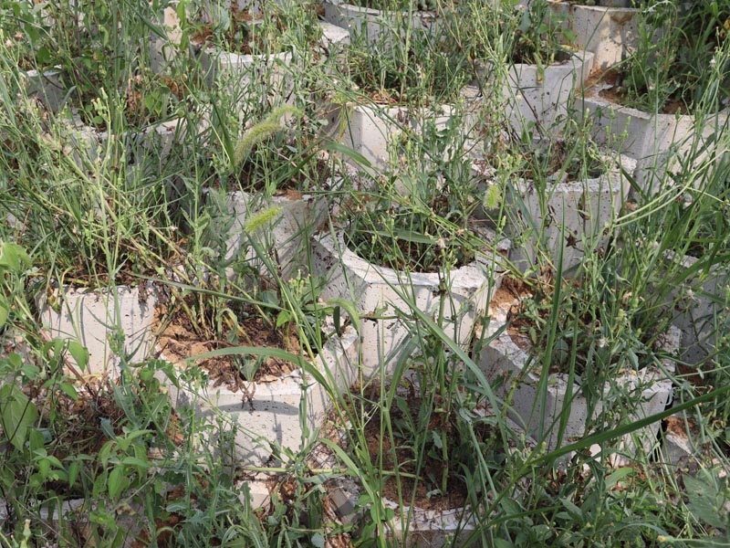 20250807174358_76982.jpg 54.jpg