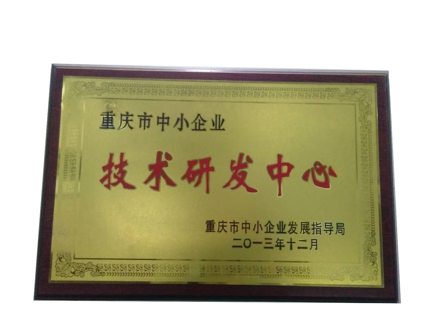 荣誉奖章3