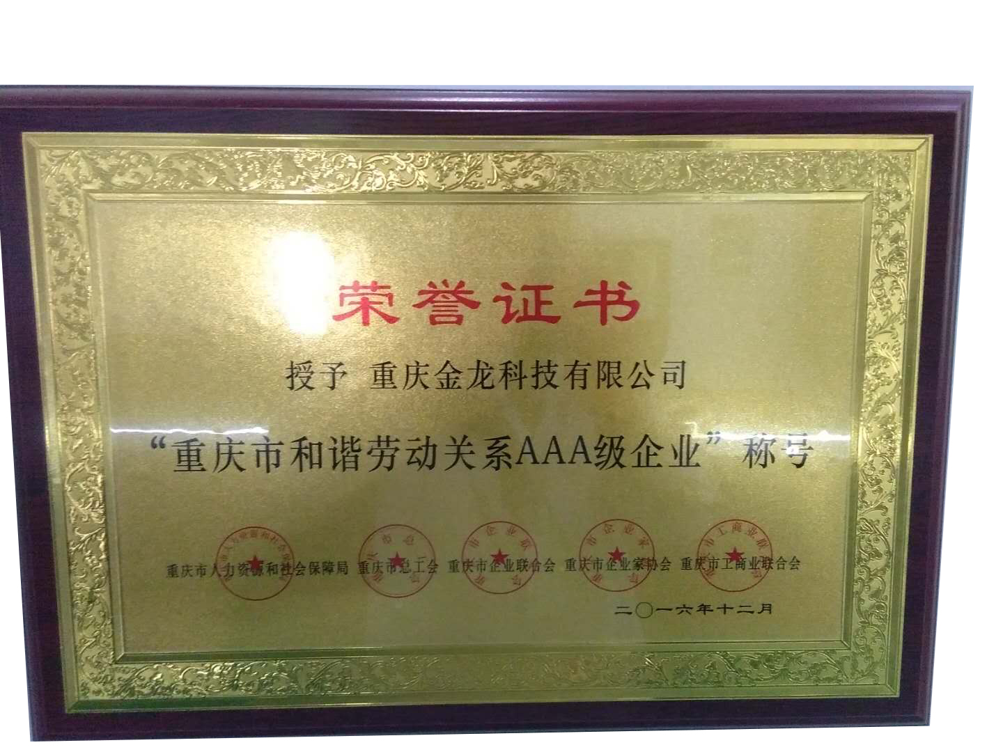 荣誉奖章4