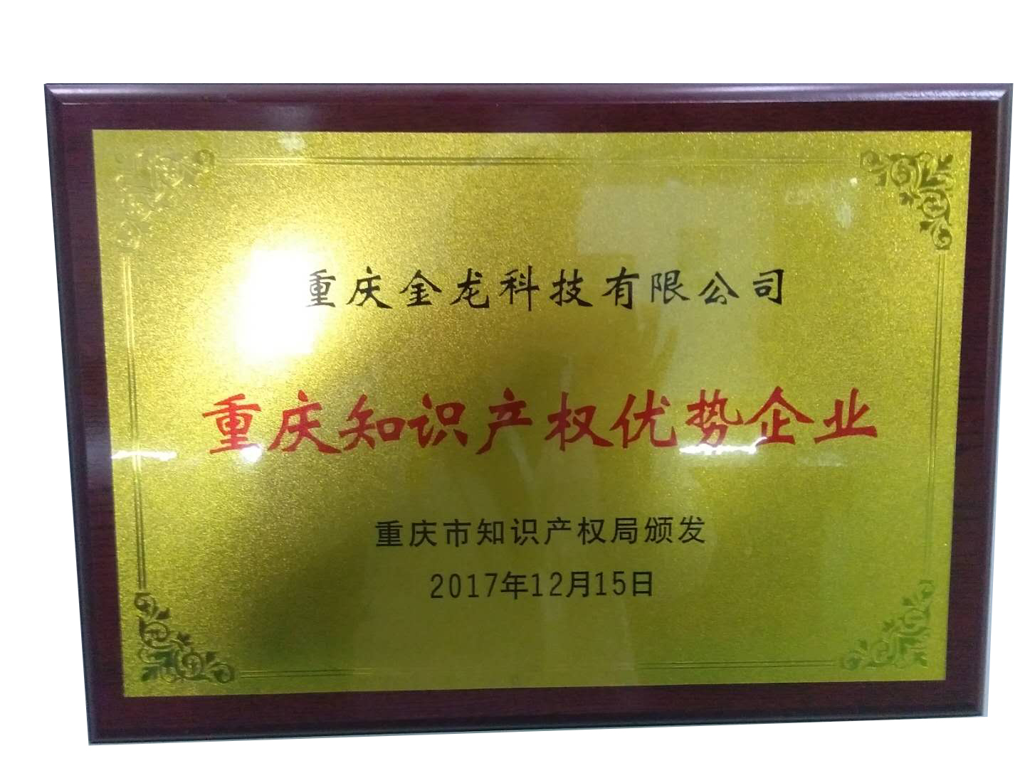 荣誉奖章5