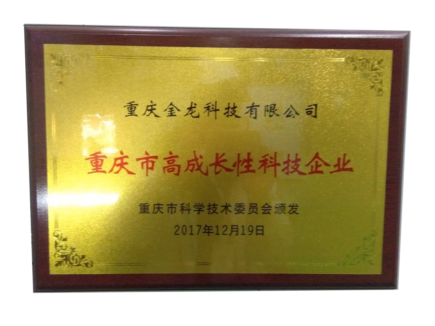荣誉奖章6