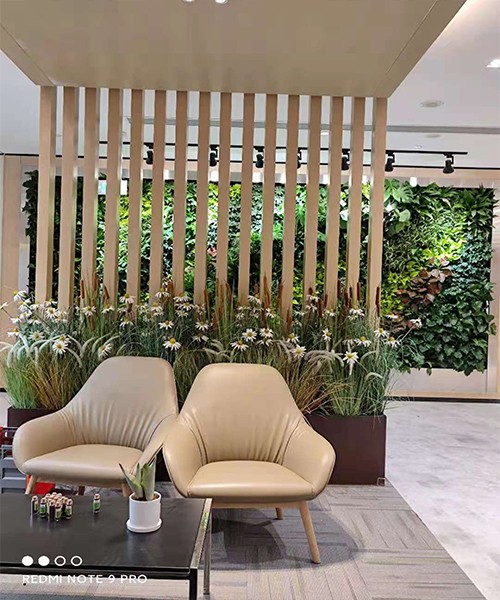 三亚植物墙，三亚垂直绿化，三亚机场植物墙，三亚南山植物墙